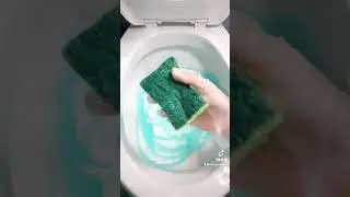 🌊 Fabuloso & Dawn Toilet Clean! 🌊