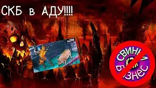 Свиньи Как Бизнес в АДУ / РАЗОБЛАЧЕНИЕ 2023!