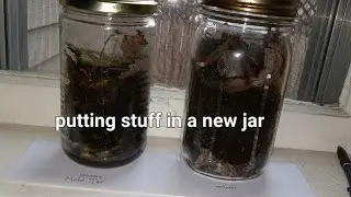 putting stuff in a new jar