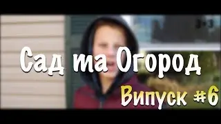 САД ТА ОГОРОД - Випуск №6 | Телеканал 3+3