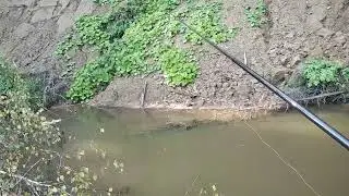 Хорошо там, где мы есть!