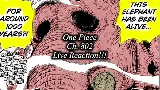 One Piece Ch 802 Live Reaction