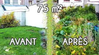 Transformation d'une pelouse urbaine de 75m² en permaculture productive. Visite du potager + astuces