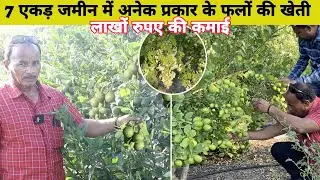 महाराष्ट्र में 7 एकड़ जमीन पर कई तरह के फलों के बगीचे उगाकर लाखों रुपये कमा रहे हैं