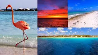 Best Beaches on Bonaire - Flamingo Island - in the Caribbean Sea, incl. Klein Bonaire