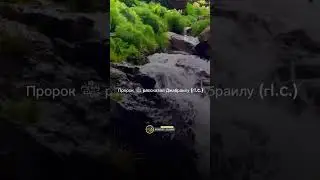 Посланник Аллагьа ‎ﷺ плакал переживая за нас 