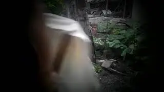 Дебошир шоу #1