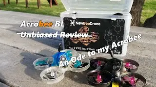 Acrobee Beebrain BL (un?)biased Mini Review