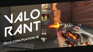 Valorant Compilation #18