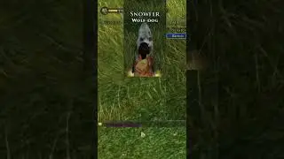 👉How to Rename Cosmetic Pets in LOTRO! Quick Middle-Earth Tips & Guides!! 