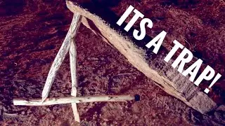 Making a Figure 4 Deadfall Trap- Step By Step Primitive Trapping