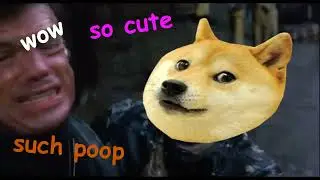 [YTP] RoboDoge
