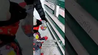 Акция - добрые крышечки.