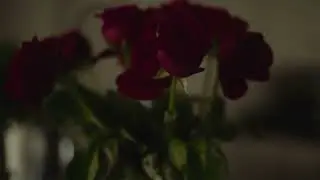 Sony FX6 test (Super Takumar 50mm f1.4)