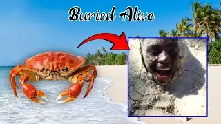 Buried Alive in Diani Beach ⛱️//Did Crabs really feed on me underground 🦀😱