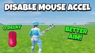 How To *FULLY* Disable Mouse Accel In Windows (Get Better Aim)