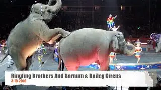 Ringling Bros. And Barnum & Bailey Circus - With Elephants