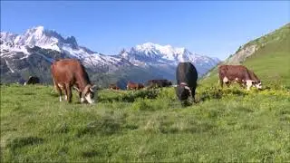 J’endors mon bébé au son des alpages. I sleep my baby to the sound of alpine pastures.