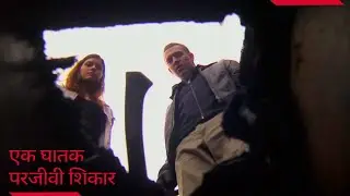 Scourge (2008) Film Explained in Hindi / Urdu Summarized हिन्दी