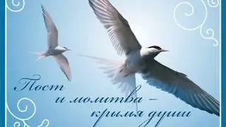 И.П.Федотов по книге Д.Принса -