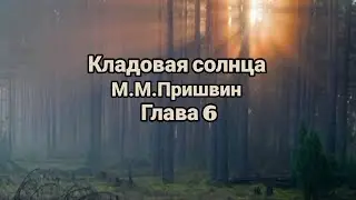 "Кладовая солнца"/М.М.Пришвин/Глава 6