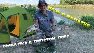 DAILY FISHING ON THE LIPOV LOG POND, EXCELLENT FISHING ON A FLOAT (Voronezh region, fishing 2020).