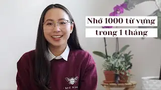 Học TỪ VỰNG tiếng Anh hiệu quả với phương pháp Spaced Repetition