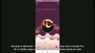 Flamingo Magic Motion
