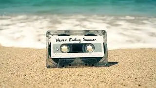 Never Ending Summer | The Midnight Pulse
