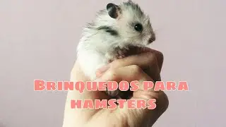 Brinquedos caseiros para hamsters