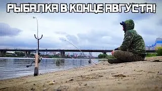 КТО ГНЁТ ДОНКИ на ПЕСКАХ? Они приплыли на ШОКОЛАД! Рыбалка в конце АВГУСТА!