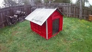 Chicken Coop made from Doghouse