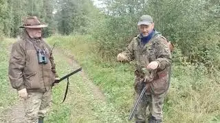 Охота на вальдшнепа с дратхааром . Не большая зарисовка # 1