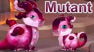 How to Breed the MUTANT Dragon! - Dragon Mania Legends (DOTW Breeding Guide March 13-20th)