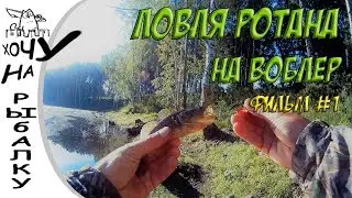 Ловля ротана на воблер, мой первый опыт. фильм #1
