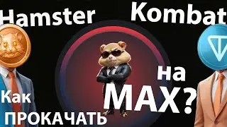 Hamster Kombat - как прокачать на максимум ? Секретный чит код