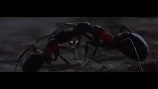 Chris Miles - DSF [Official HD Video]