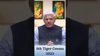 Tiger Census 2023 Report🧏‍♂️