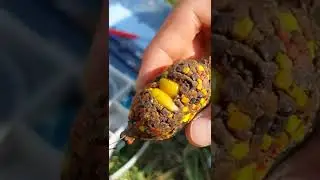 Красота ФЛЭТ ФИДЕРА. 