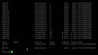 Setting Up Native VLAN