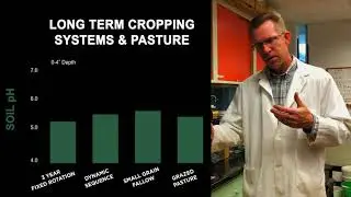 Soil Acidification in Annual Cropping Systems