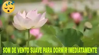 SOM DE VENTO SUAVE PARA DORMIR IMEDIATAMENTE * COM TELA NEGRA