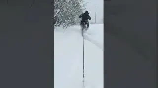 привязали сани к питбаи́ку