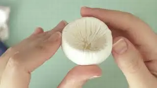 Грибы из фоамирана. Мастер-класс Мухомор. Часть 1.