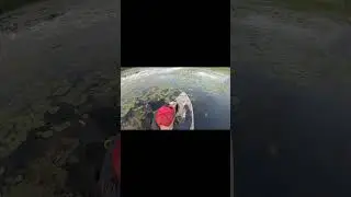 Patience with Mr. Frogger Catch Bass!!! #wisconsinriver #bassfishing #wisconsinfishing