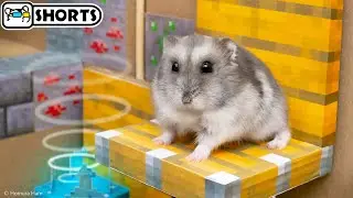 🐹 Hamster Escapes the Warden Maze in the Deep Dark Minecraft 