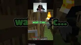Fake Ender man sound trolls Minecraft streamer #diabloiv #minecraft