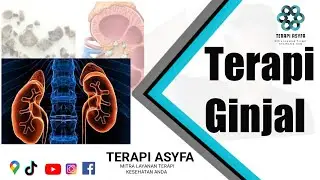 Terapi Ginjal, Terapi Batu Ginjal