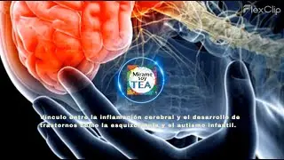 Inflamación cerebral y el desarrollo de trastornos como la esquizofrenia y el autismo infantil