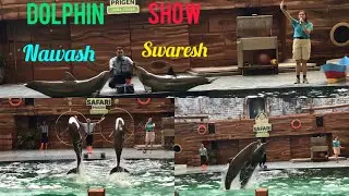 Part 1 Dolphin Show The Grand Taman Safari Prigen. Nawash & Swaresh #tamansafari #tamansafariprigen